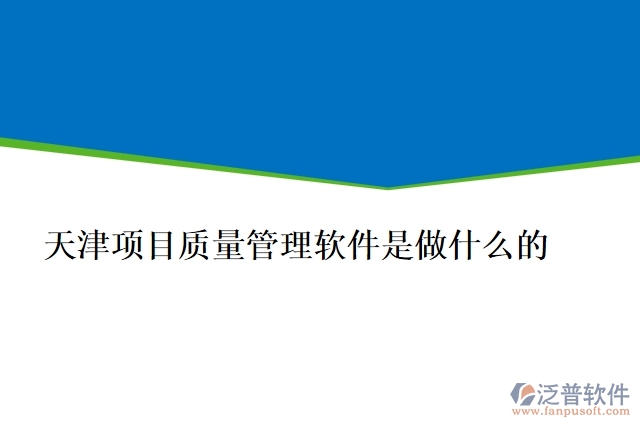 天津項(xiàng)目質(zhì)量管理軟件是做什么的
