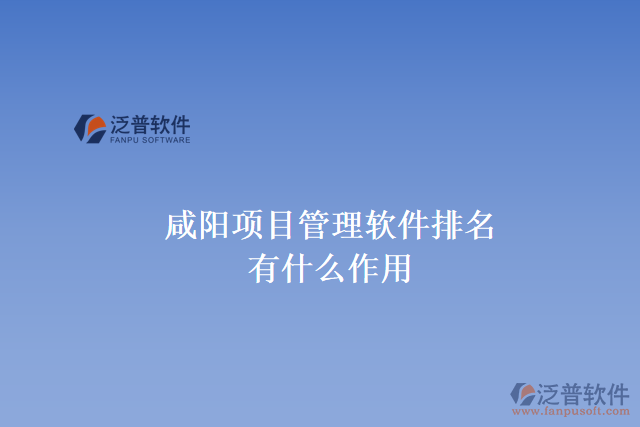 咸陽(yáng)項(xiàng)目管理軟件排名有什么作用