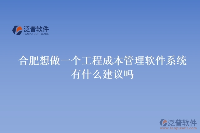 合肥想做一個工程成本管理軟件系統(tǒng)，有什么建議嗎