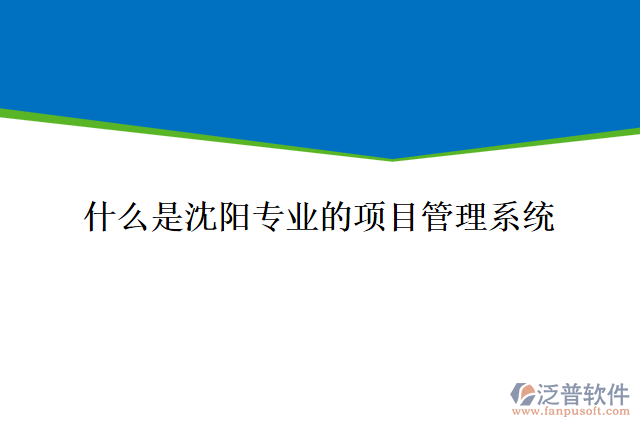 什么是沈陽(yáng)專業(yè)的項(xiàng)目管理系統(tǒng)