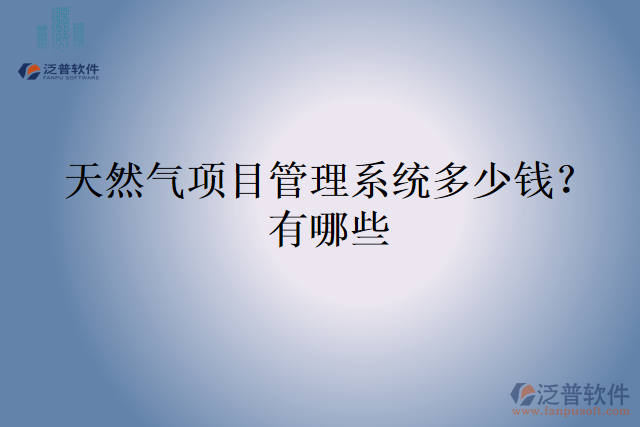天然氣項(xiàng)目管理系統(tǒng)多少錢？有哪些