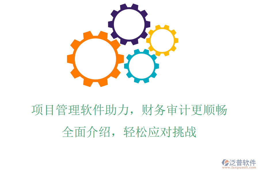 項(xiàng)目管理軟件助力，財(cái)務(wù)審計(jì)更順暢，全面介紹，輕松應(yīng)對(duì)挑戰(zhàn)