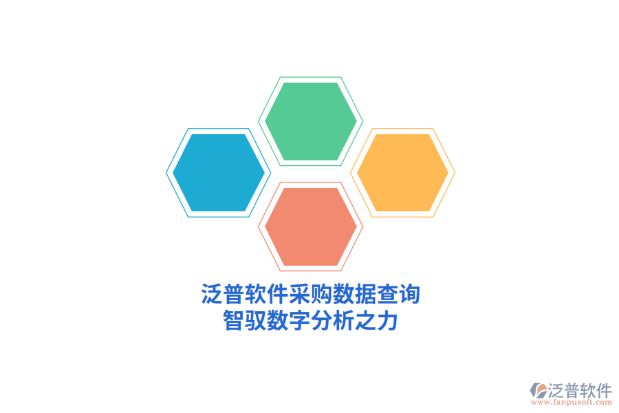 泛普軟件采購(gòu)數(shù)據(jù)查詢，智馭數(shù)字分析之力