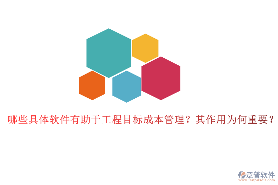 哪些具體軟件有助于工程目標(biāo)成本管理？其作用為何重要？