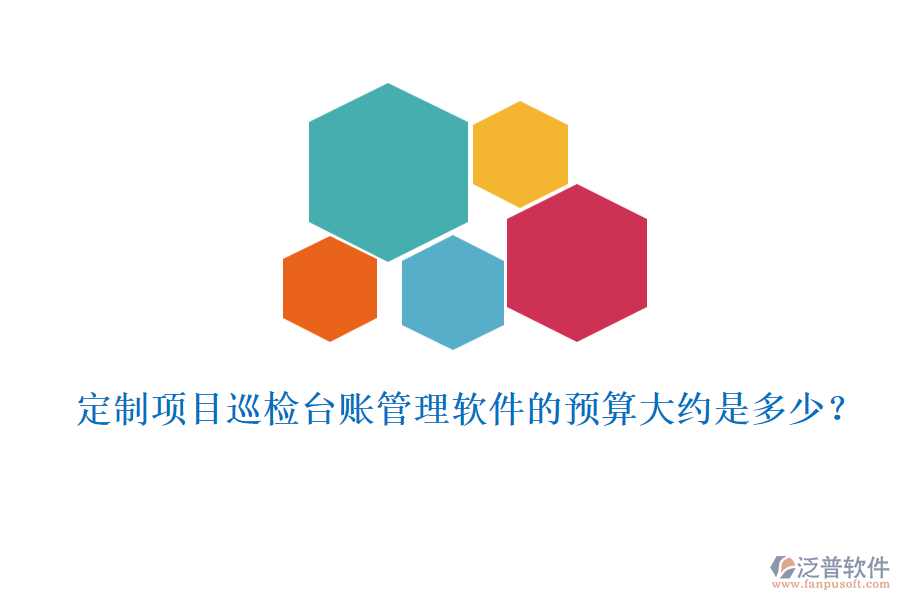 定制項(xiàng)目巡檢臺賬管理軟件的預(yù)算大約是多少？